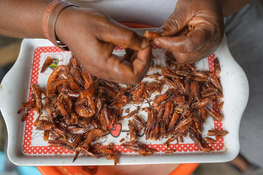 Crayfish (Ground)