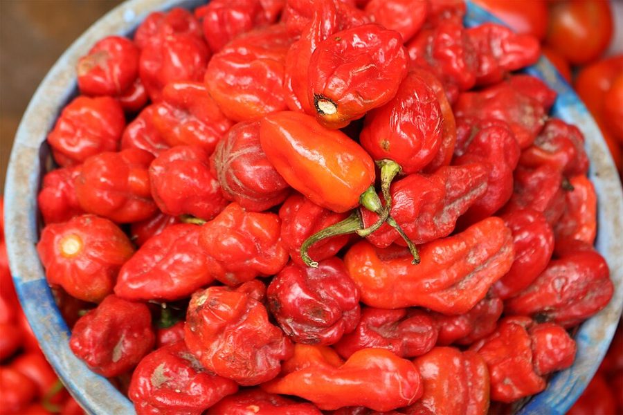 Fresh Peppers (Rodo)